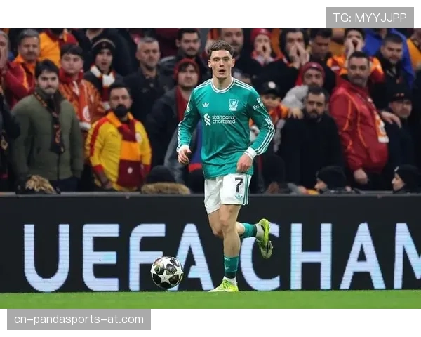 维尔茨：从组织核心到终结参与者的数据解析