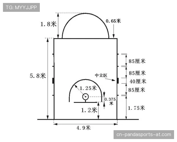 新手看罚球：NBA与FIBA规则在投篮时间和触线限制上有何差异？