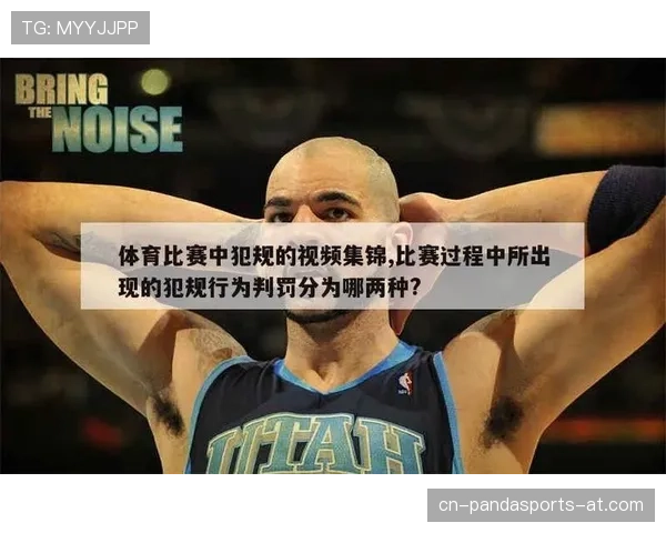 篮球规则深度解析：技术犯规和违体犯规区别所在